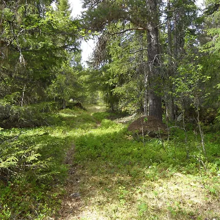 Gjesteheim Havdal Πανδοχείο 2*