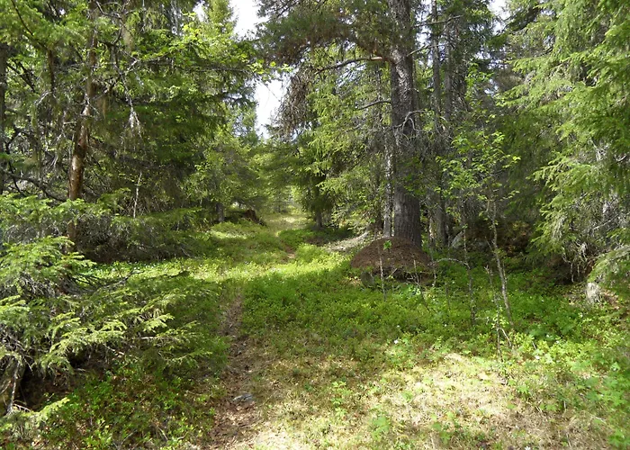 Gjesteheim Havdal Πανδοχείο 2*