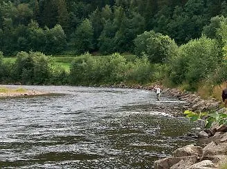 Gjesteheim Havdal Πανδοχείο 2*